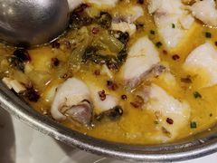 -刘胖子家常菜·蹄花焖藕(兴业店)