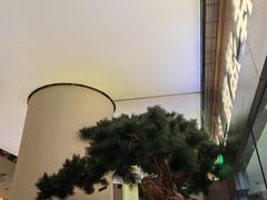 -桂满陇·蟹黄小笼汤包(中山公园店)