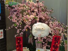 -蝎王府羊蝎子(虎坊桥总店)