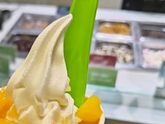 -Salud撒露欧洲冻酸奶(北苑上品店)