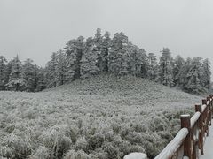 -瓦屋山景区