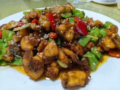 爆炒野生狗鱼块-煲来饱去冷水鱼