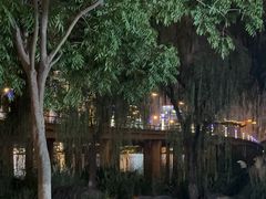 -金鸡湖景区