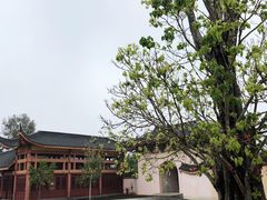 -博鳌禅寺