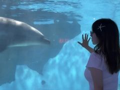 -福州罗源湾海洋世界旅游区