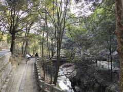 -白鹿洞书院