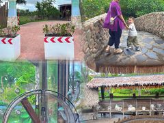-珠海海泉湾神秘岛亲子乐园