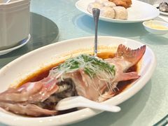 -大东海海鲜酒楼(渔人码头总店)