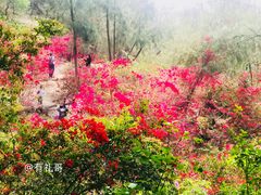 -厦门园林植物园-植物园滴水山房