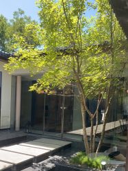 -爱儿美儿童摄影(朝阳公园店)