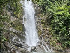 -鼎湖山风景区