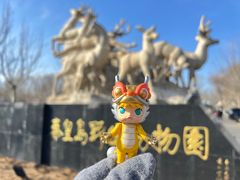 -秦皇岛野生动物园