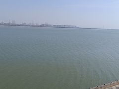 -大湾区中央湿地公园