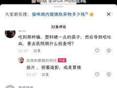 -派联宠物医院·24h·CT·异宠
