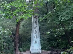 -大青沟风景区