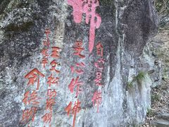 -东天目山风景区