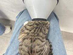 -良伴无忧宠物医院(泰欣嘉园店)