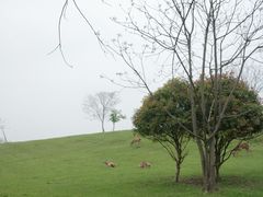 -良渚古城遗址公园