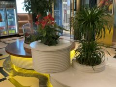 -润园四季椰子鸡火锅(卓越INTOWN店)