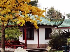 -桂湖森林公园