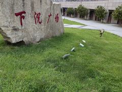 -下沉广场(羊坊店街道)