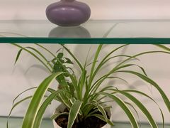 -瑞尔齿科(上海长风大悦城店)