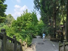 -都江堰普照寺