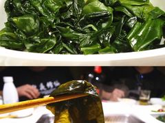 翡翠藻（裙带菜叶）-海底捞火锅鲜切牛肉主题店(长寿路店)