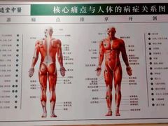 -通透堂中医·精准推拿(万科云城分院)