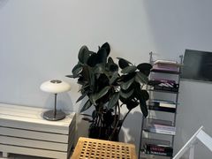-CAKE WANG千层制造所(省府店)