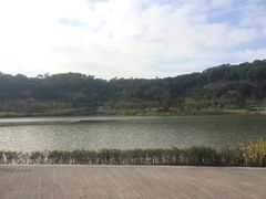 -飞凤山奥体公园