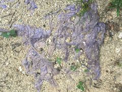 -宝天曼峡谷漂流