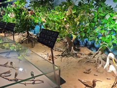 -中国（海南）南海博物馆