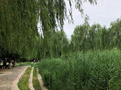 -丰台科技园生态主题公园