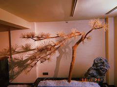 -春熙台韩国料理·章鱼肥牛(西丽店)