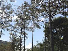 -深圳市人才园(深南大道店)