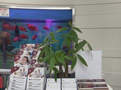 -雅悦齿科(顾村公园店)