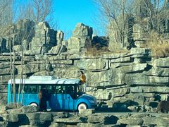 -北京野生动物园