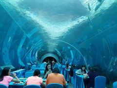 -海棠湾洲际-涛·海底餐厅·美人鱼·自助餐·海底隧道