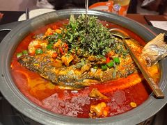 -探鱼·鲜青椒爽麻烤鱼(北京路天河城店)
