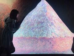 -印象莫奈时光映迹艺术展