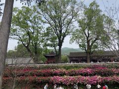 -红螺寺