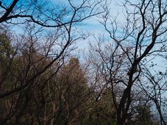 -鹫峰国家森林公园