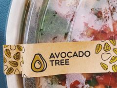 -油梨树AVOCADO TREE(望京店)
