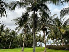 -三亚太阳湾柏悦酒店