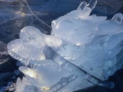 -长春市南湖公园