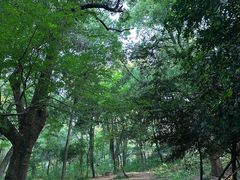 -徐记海鲜(开福寺|伍家岭店)