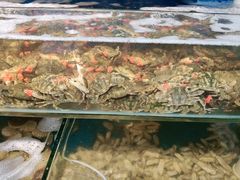 -仙螺岛海鲜自助餐厅(总店)