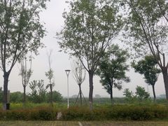 -渭河城市绿地运动公园