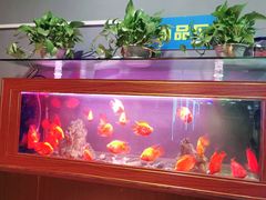 -亮电竞·棋牌(杨行店)